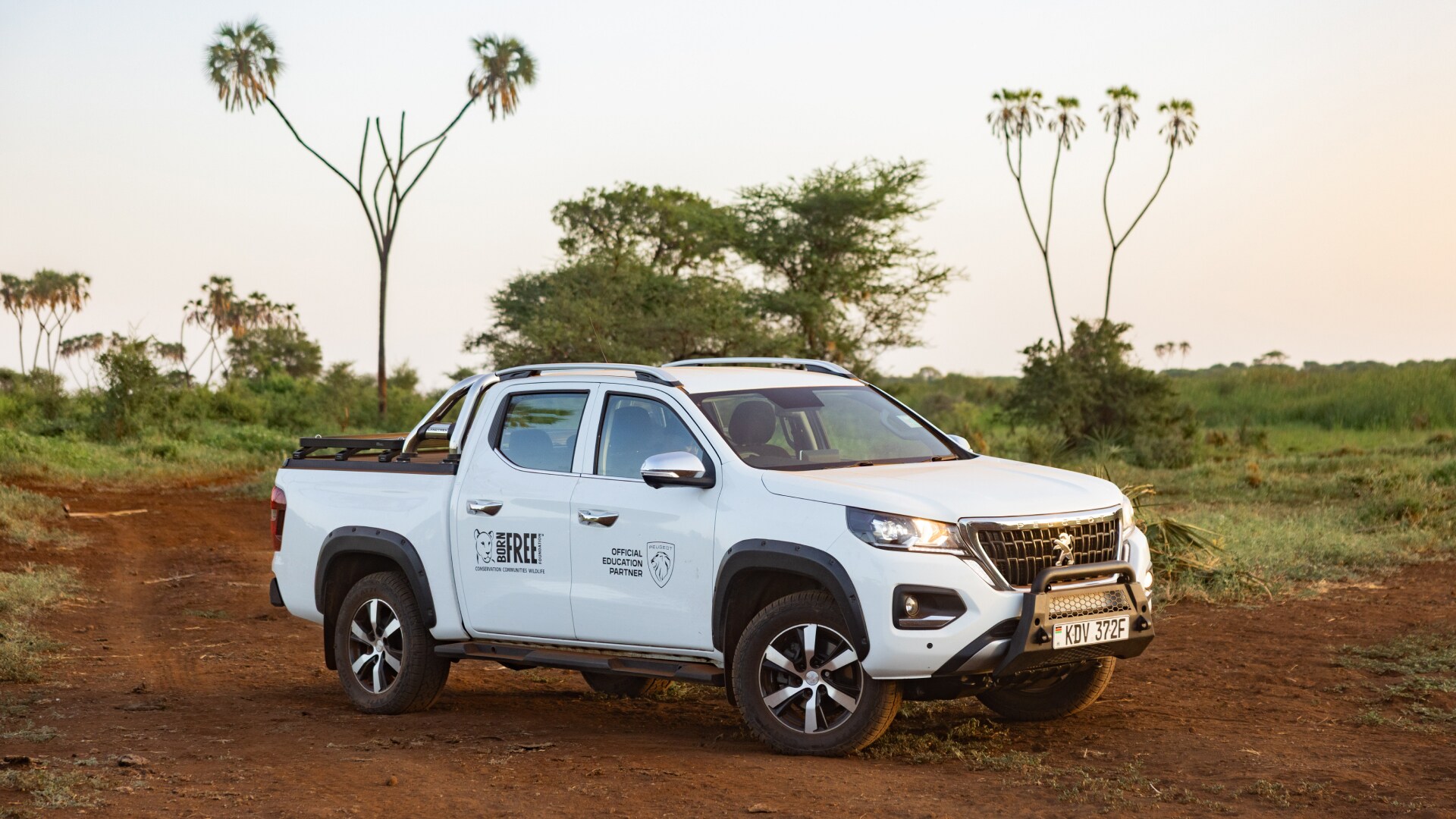 PEUGEOT x Born Free
