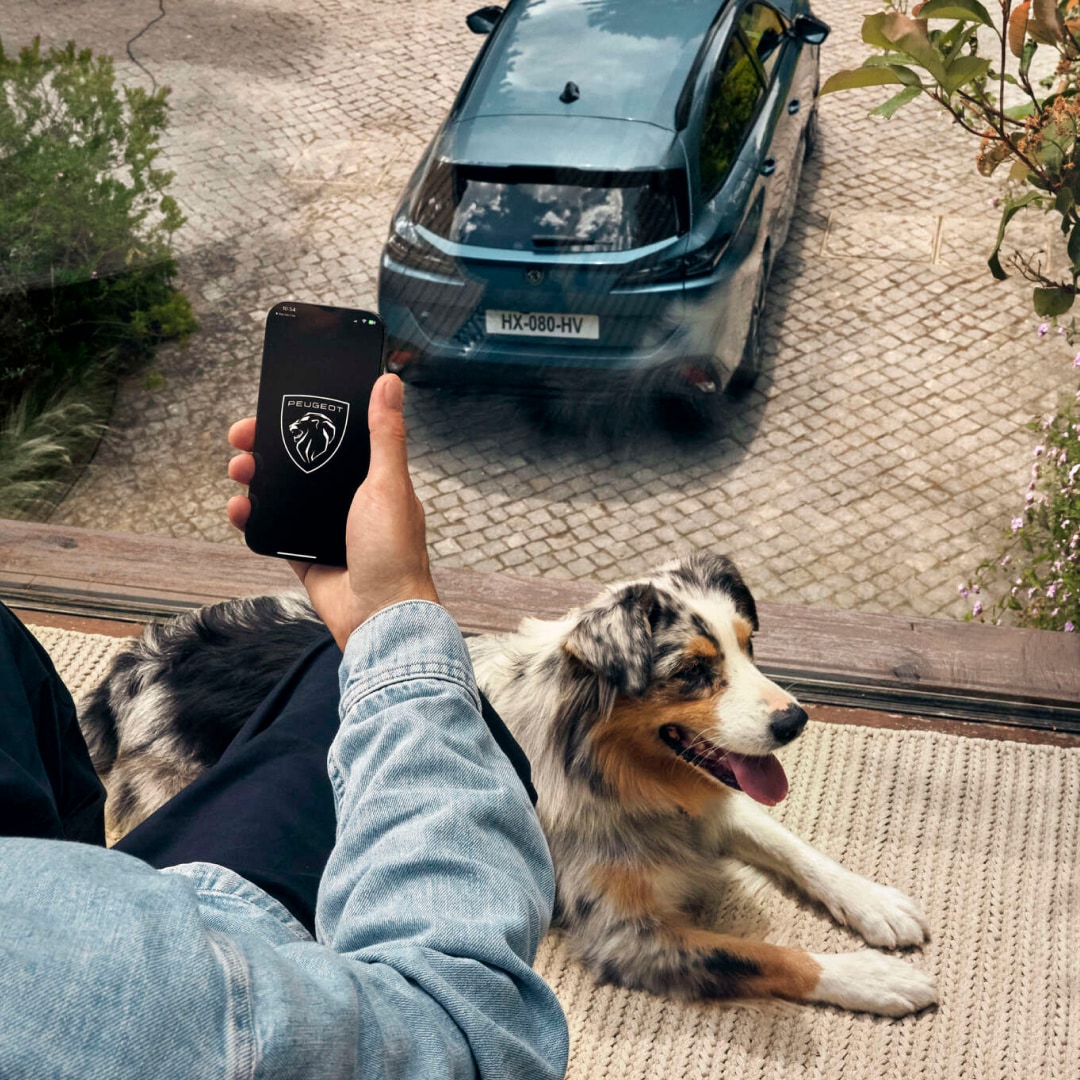 Remote Peugeot Experience