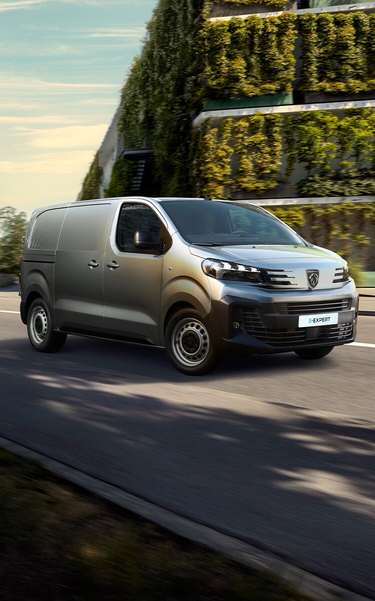 PEUGEOT E-EXPERT all'electric recharging